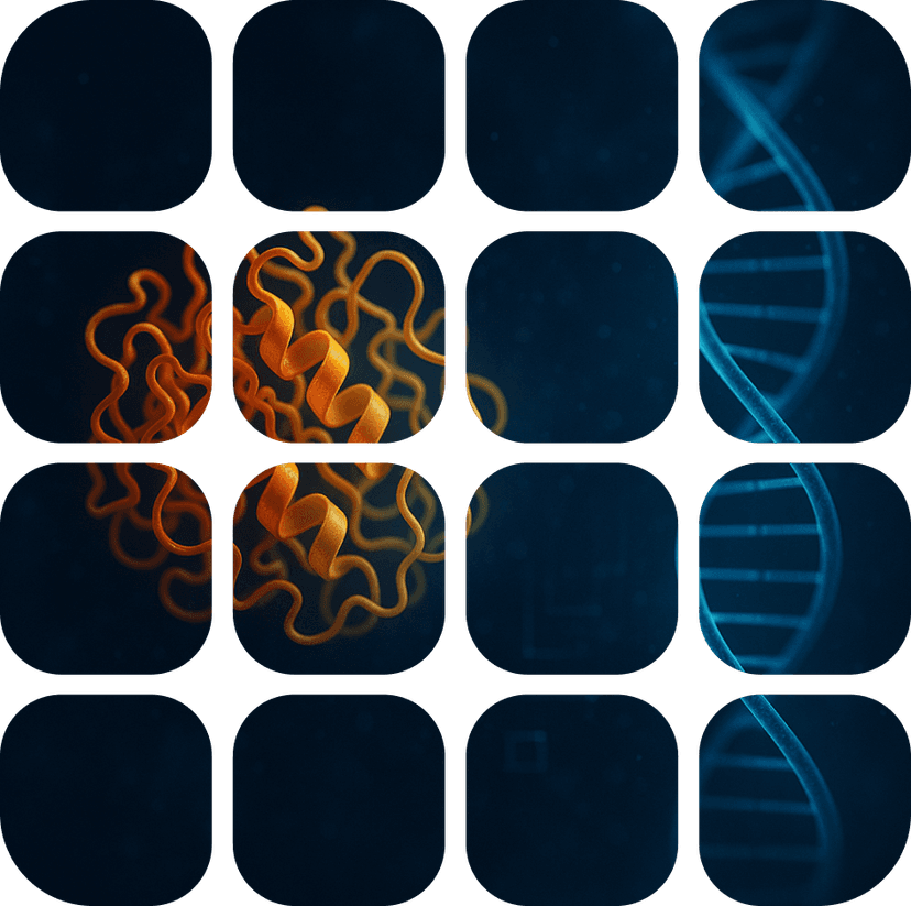 Zero-Shot Protein–Ligand Binding Site Prediction from Protein Sequence and SMILES